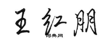 骆恒光王红朋行书个性签名怎么写