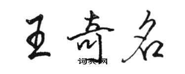 骆恒光王奇名行书个性签名怎么写