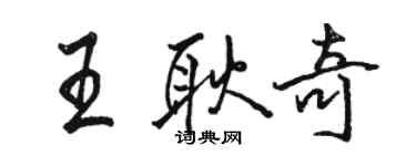 骆恒光王耿奇行书个性签名怎么写