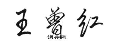 骆恒光王曾红行书个性签名怎么写