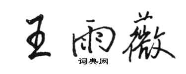 骆恒光王雨薇行书个性签名怎么写