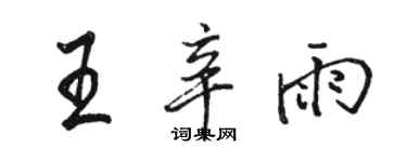 骆恒光王辛雨行书个性签名怎么写