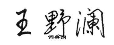 骆恒光王野澜行书个性签名怎么写