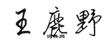 骆恒光王鹿野行书个性签名怎么写