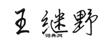 骆恒光王继野行书个性签名怎么写