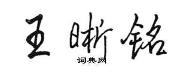 骆恒光王晰铭行书个性签名怎么写