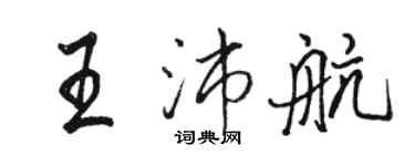 骆恒光王沛航行书个性签名怎么写