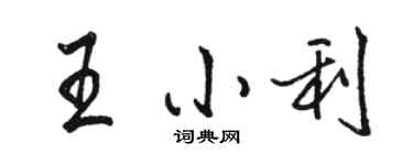 骆恒光王小利行书个性签名怎么写