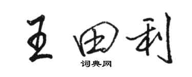 骆恒光王田利行书个性签名怎么写