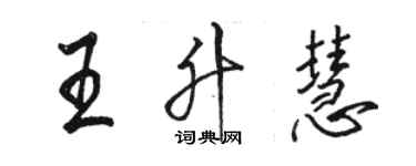 骆恒光王升慧行书个性签名怎么写