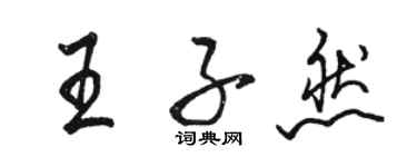 骆恒光王子然行书个性签名怎么写