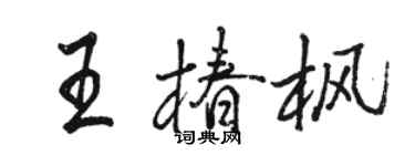 骆恒光王椿枫行书个性签名怎么写