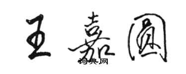 骆恒光王嘉圆行书个性签名怎么写
