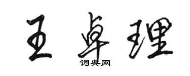 骆恒光王卓理行书个性签名怎么写