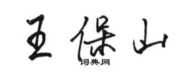 骆恒光王保山行书个性签名怎么写