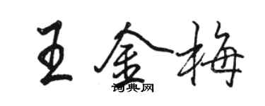 骆恒光王金梅行书个性签名怎么写