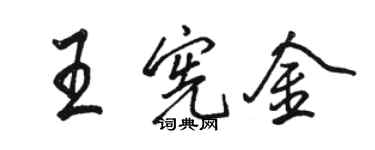 骆恒光王宪金行书个性签名怎么写