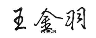 骆恒光王金羽行书个性签名怎么写