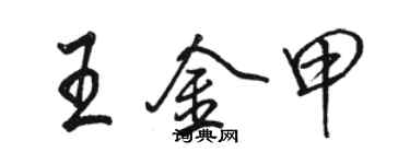 骆恒光王金甲行书个性签名怎么写