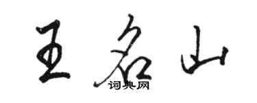 骆恒光王名山行书个性签名怎么写