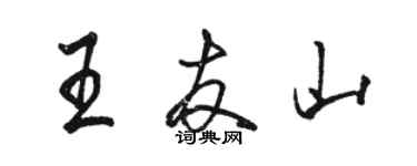骆恒光王友山行书个性签名怎么写