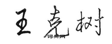 骆恒光王克树行书个性签名怎么写