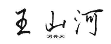 骆恒光王山河行书个性签名怎么写