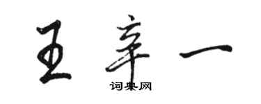 骆恒光王辛一行书个性签名怎么写