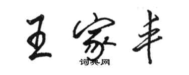 骆恒光王家丰行书个性签名怎么写