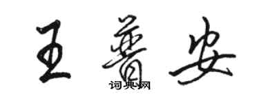 骆恒光王普安行书个性签名怎么写