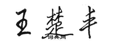 骆恒光王楚丰行书个性签名怎么写