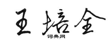 骆恒光王培全行书个性签名怎么写