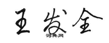骆恒光王发全行书个性签名怎么写