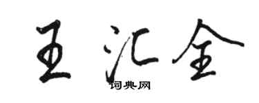 骆恒光王汇全行书个性签名怎么写