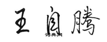 骆恒光王自腾行书个性签名怎么写