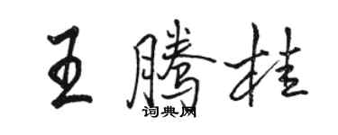骆恒光王腾桂行书个性签名怎么写