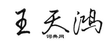骆恒光王天鸿行书个性签名怎么写