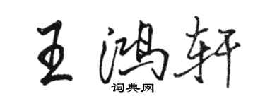 骆恒光王鸿轩行书个性签名怎么写