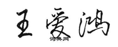 骆恒光王爱鸿行书个性签名怎么写