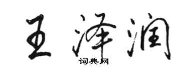 骆恒光王泽润行书个性签名怎么写