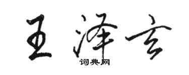 骆恒光王泽玄行书个性签名怎么写