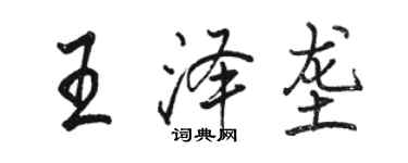 骆恒光王泽垄行书个性签名怎么写