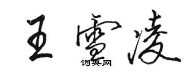 骆恒光王雪凌行书个性签名怎么写