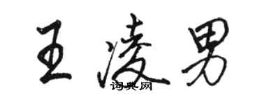 骆恒光王凌男行书个性签名怎么写