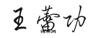 骆恒光王蕾功行书个性签名怎么写