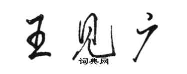 骆恒光王见广行书个性签名怎么写
