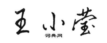 骆恒光王小莹行书个性签名怎么写
