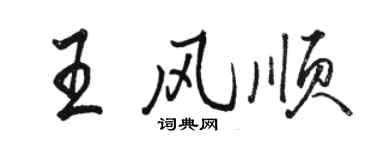 骆恒光王风顺行书个性签名怎么写