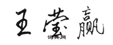 骆恒光王莹赢行书个性签名怎么写