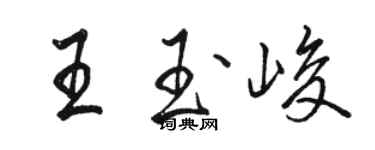 骆恒光王玉峻行书个性签名怎么写